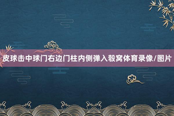 皮球击中球门右边门柱内侧弹入彀窝体育录像/图片