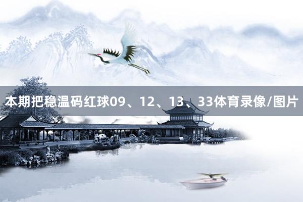 本期把稳温码红球09、12、13、33体育录像/图片