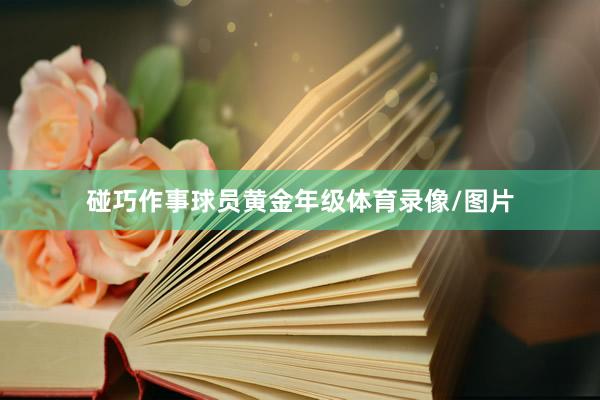 碰巧作事球员黄金年级体育录像/图片