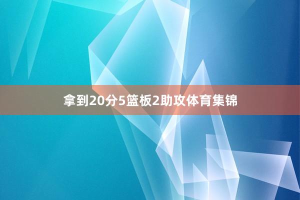 拿到20分5篮板2助攻体育集锦