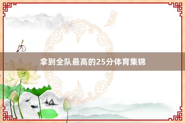 拿到全队最高的25分体育集锦