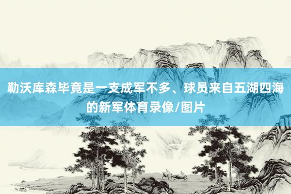 勒沃库森毕竟是一支成军不多、球员来自五湖四海的新军体育录像/图片