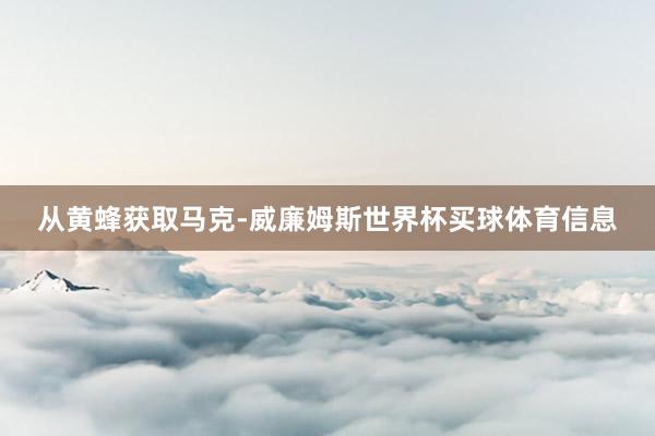 从黄蜂获取马克-威廉姆斯世界杯买球体育信息