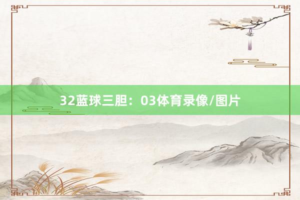 32　　蓝球三胆：03体育录像/图片