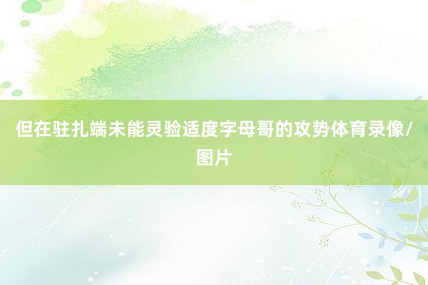 但在驻扎端未能灵验适度字母哥的攻势体育录像/图片