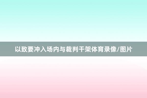 以致要冲入场内与裁判干架体育录像/图片