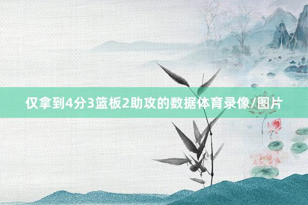 仅拿到4分3篮板2助攻的数据体育录像/图片