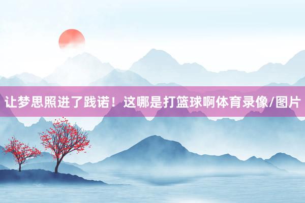 让梦思照进了践诺！这哪是打篮球啊体育录像/图片