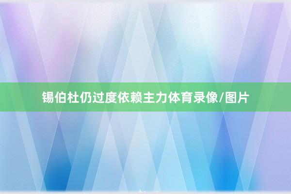 锡伯杜仍过度依赖主力体育录像/图片