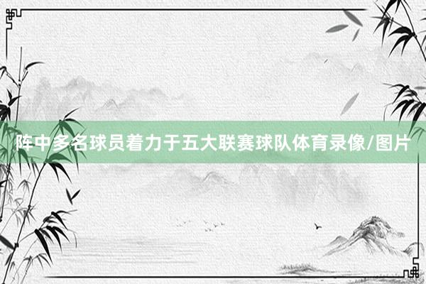 阵中多名球员着力于五大联赛球队体育录像/图片