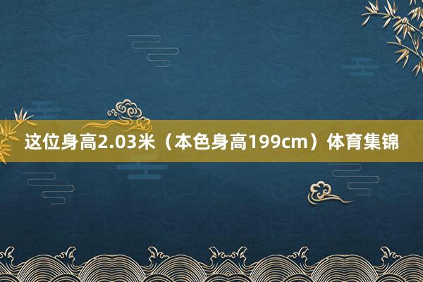这位身高2.03米(本色身高199cm)体育集锦