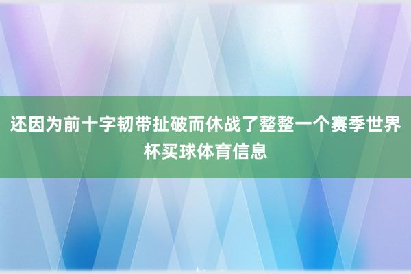 还因为前十字韧带扯破而休战了整整一个赛季世界杯买球体育信息