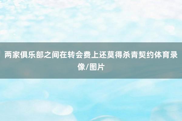 两家俱乐部之间在转会费上还莫得杀青契约体育录像/图片