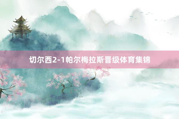 切尔西2-1帕尔梅拉斯晋级体育集锦