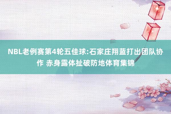 NBL老例赛第4轮五佳球:石家庄翔蓝打出团队协作 赤身露体扯破防地体育集锦