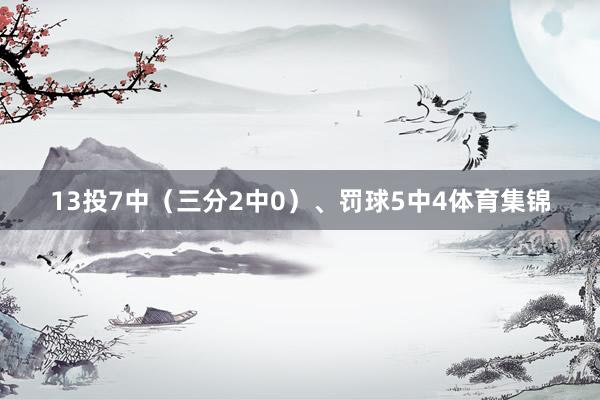 13投7中（三分2中0）、罚球5中4体育集锦