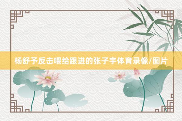 杨舒予反击喂给跟进的张子宇体育录像/图片
