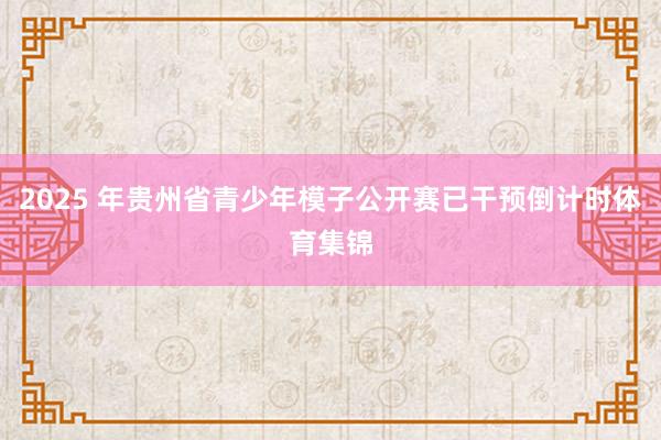 2025 年贵州省青少年模子公开赛已干预倒计时体育集锦