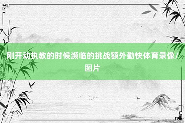 刚开动执教的时候濒临的挑战额外勤快体育录像/图片