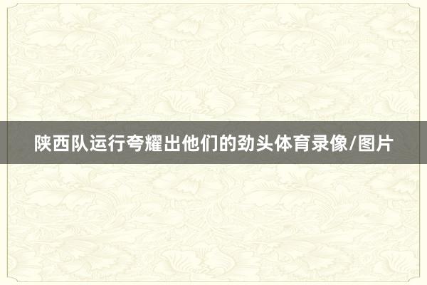 陕西队运行夸耀出他们的劲头体育录像/图片