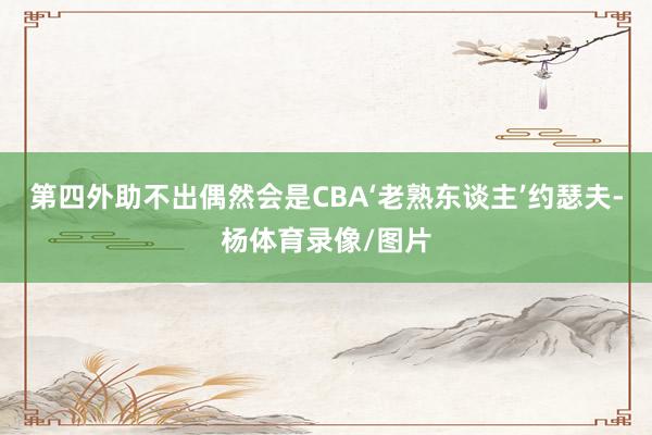 第四外助不出偶然会是CBA‘老熟东谈主’约瑟夫-杨体育录像/图片