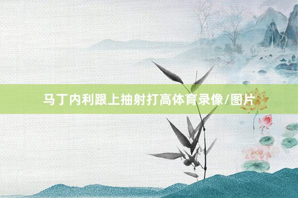 马丁内利跟上抽射打高体育录像/图片