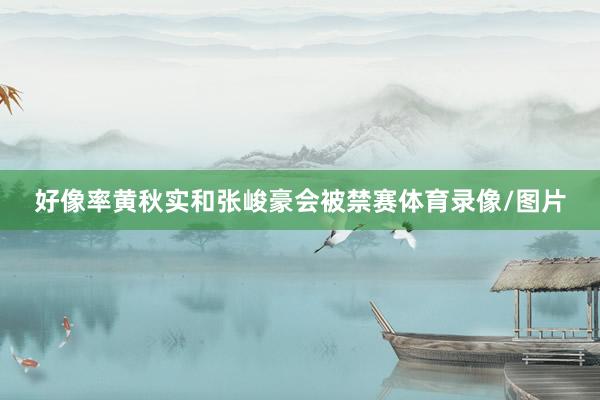 好像率黄秋实和张峻豪会被禁赛体育录像/图片