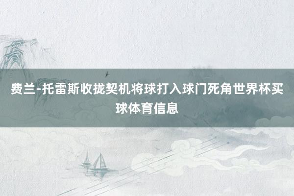 费兰-托雷斯收拢契机将球打入球门死角世界杯买球体育信息