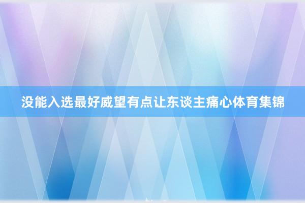 没能入选最好威望有点让东谈主痛心体育集锦