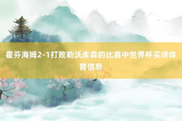 霍芬海姆2-1打败勒沃库森的比赛中世界杯买球体育信息