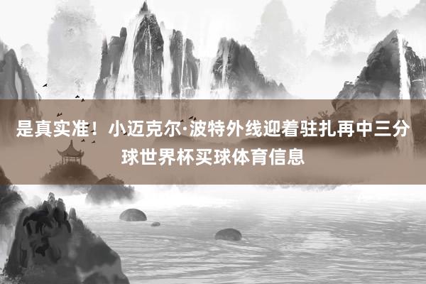 是真实准！小迈克尔·波特外线迎着驻扎再中三分球世界杯买球体育信息