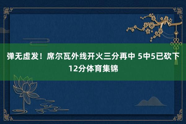 弹无虚发！席尔瓦外线开火三分再中 5中5已砍下12分体育集锦