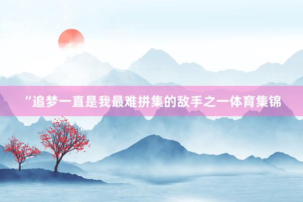 “追梦一直是我最难拼集的敌手之一体育集锦