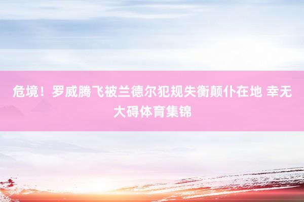 危境！罗威腾飞被兰德尔犯规失衡颠仆在地 幸无大碍体育集锦