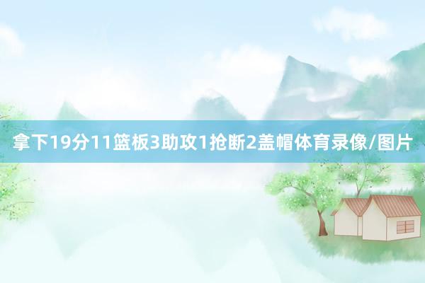 拿下19分11篮板3助攻1抢断2盖帽体育录像/图片