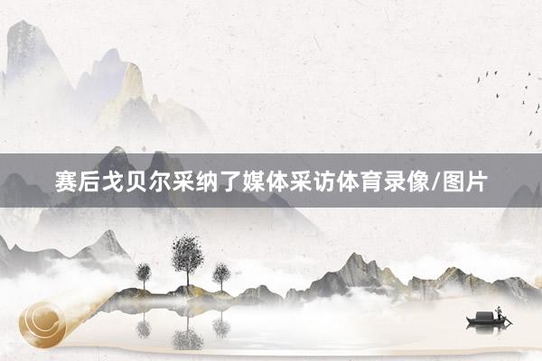 赛后戈贝尔采纳了媒体采访体育录像/图片