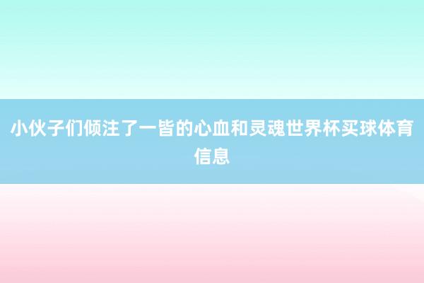 小伙子们倾注了一皆的心血和灵魂世界杯买球体育信息