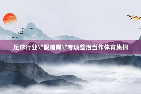 足球行业