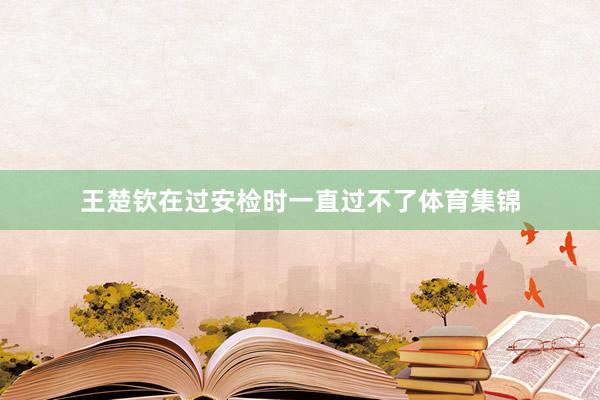 王楚钦在过安检时一直过不了体育集锦
