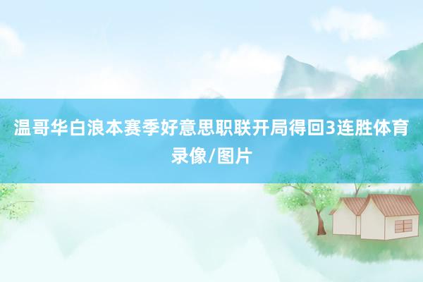 温哥华白浪本赛季好意思职联开局得回3连胜体育录像/图片