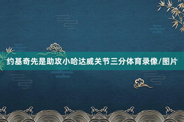 约基奇先是助攻小哈达威关节三分体育录像/图片
