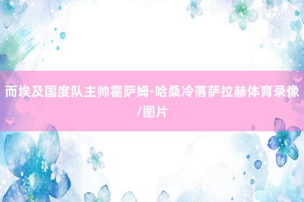 而埃及国度队主帅霍萨姆·哈桑冷落萨拉赫体育录像/图片