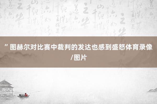 ”图赫尔对比赛中裁判的发达也感到盛怒体育录像/图片