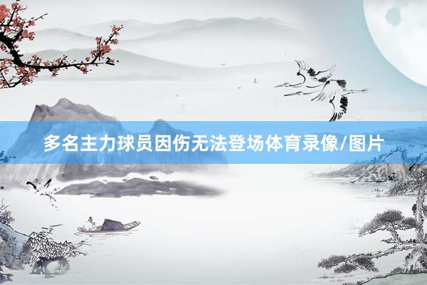 多名主力球员因伤无法登场体育录像/图片