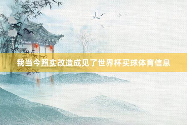 我当今照实改造成见了世界杯买球体育信息