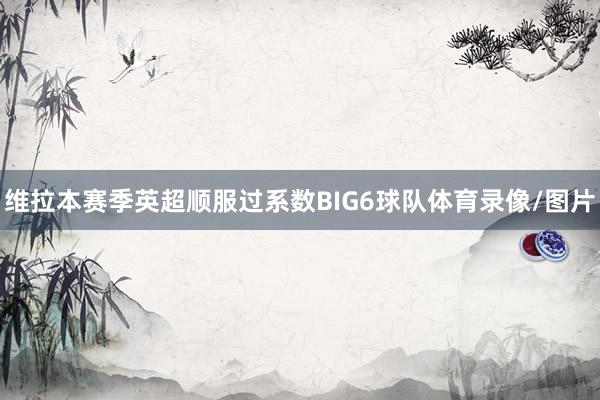 维拉本赛季英超顺服过系数BIG6球队体育录像/图片