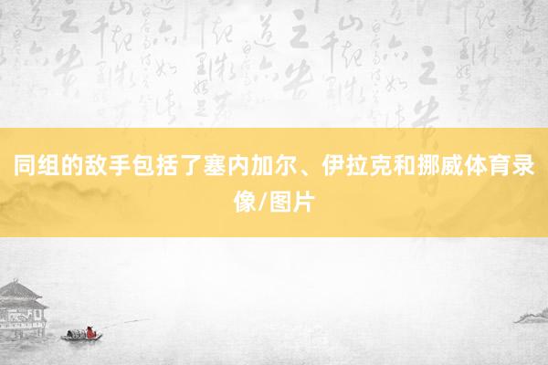 同组的敌手包括了塞内加尔、伊拉克和挪威体育录像/图片