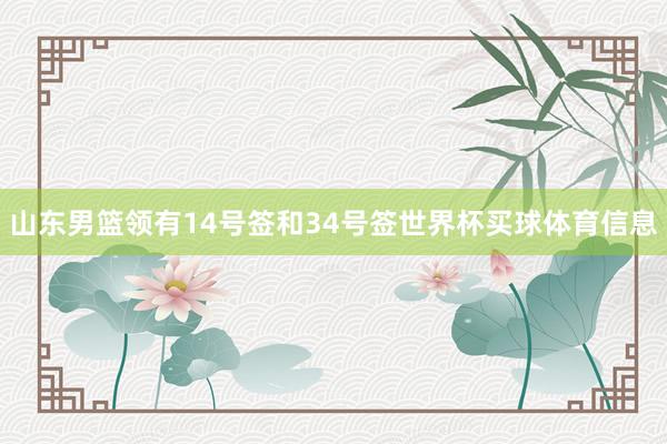 山东男篮领有14号签和34号签世界杯买球体育信息